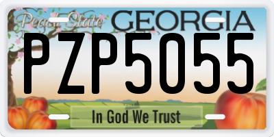 GA license plate PZP5055