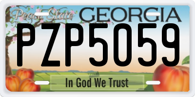 GA license plate PZP5059