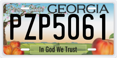 GA license plate PZP5061