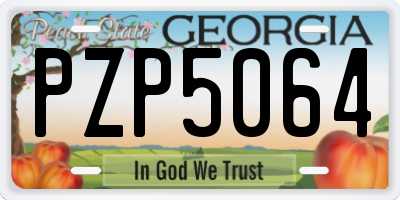 GA license plate PZP5064