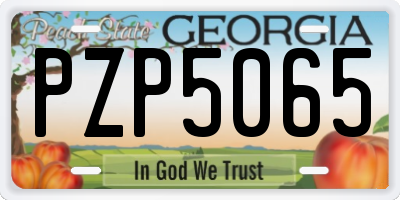 GA license plate PZP5065