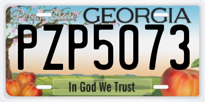 GA license plate PZP5073