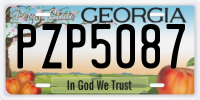 GA license plate PZP5087