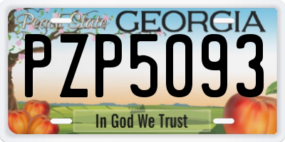 GA license plate PZP5093