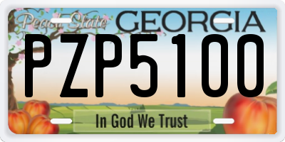GA license plate PZP5100