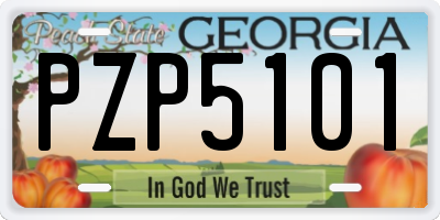 GA license plate PZP5101