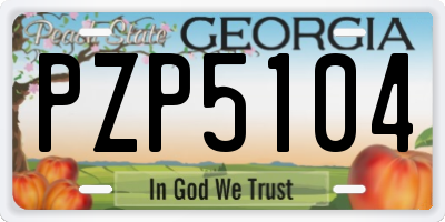 GA license plate PZP5104