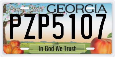 GA license plate PZP5107
