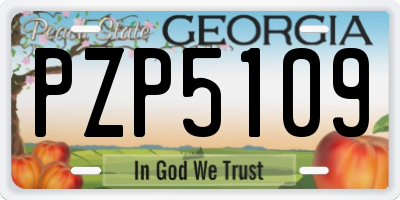 GA license plate PZP5109