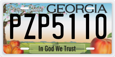 GA license plate PZP5110