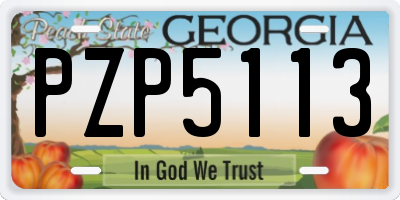 GA license plate PZP5113