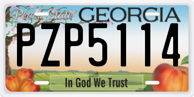 GA license plate PZP5114