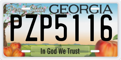 GA license plate PZP5116