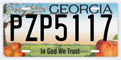 GA license plate PZP5117