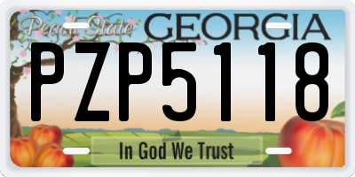 GA license plate PZP5118