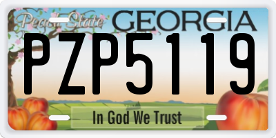 GA license plate PZP5119