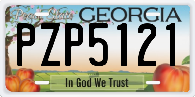 GA license plate PZP5121