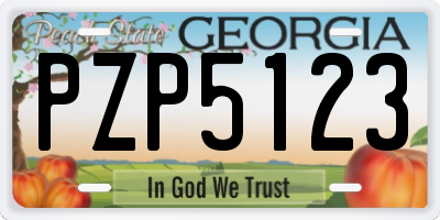 GA license plate PZP5123