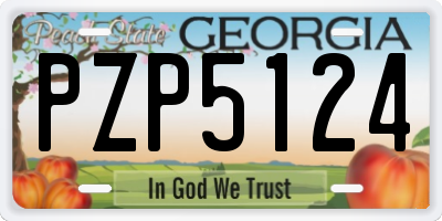 GA license plate PZP5124
