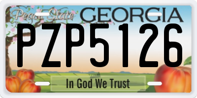 GA license plate PZP5126