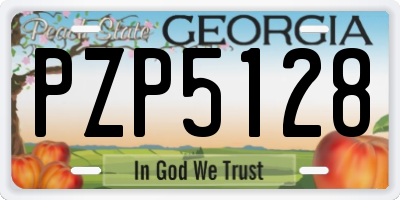 GA license plate PZP5128