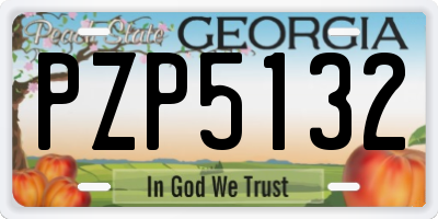 GA license plate PZP5132