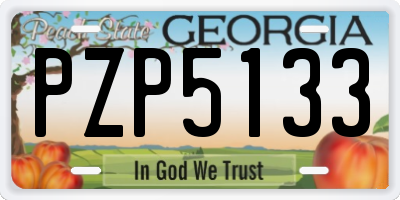 GA license plate PZP5133