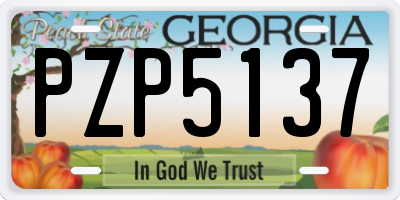 GA license plate PZP5137