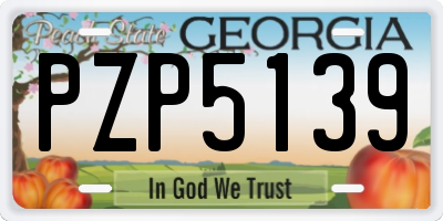 GA license plate PZP5139