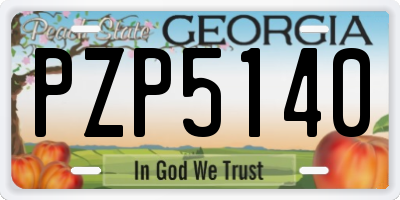GA license plate PZP5140