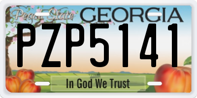 GA license plate PZP5141