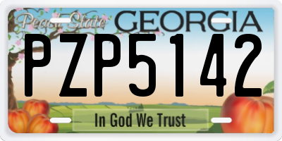 GA license plate PZP5142