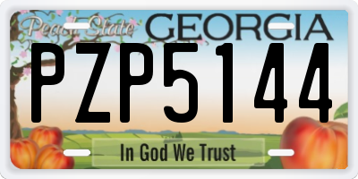 GA license plate PZP5144