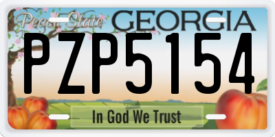 GA license plate PZP5154