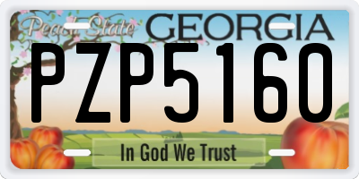 GA license plate PZP5160