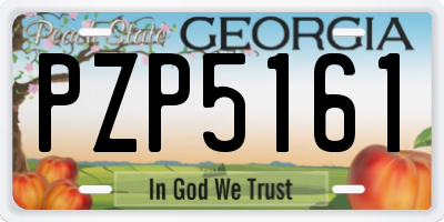 GA license plate PZP5161