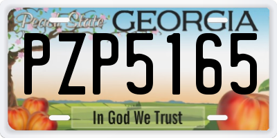 GA license plate PZP5165