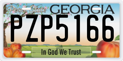 GA license plate PZP5166