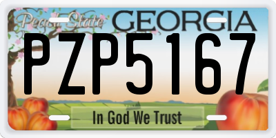GA license plate PZP5167