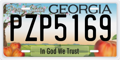 GA license plate PZP5169