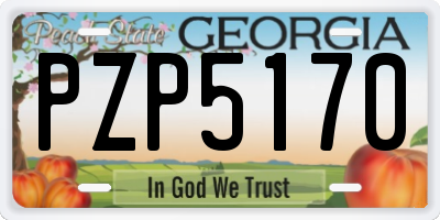 GA license plate PZP5170