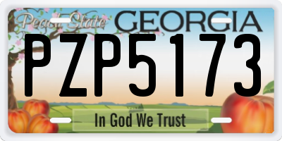 GA license plate PZP5173