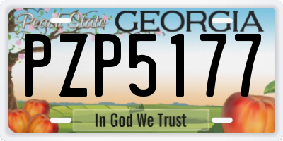 GA license plate PZP5177