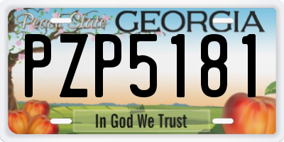 GA license plate PZP5181