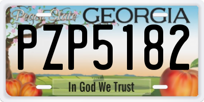 GA license plate PZP5182
