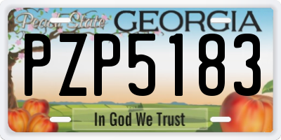 GA license plate PZP5183