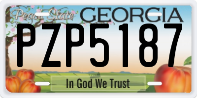 GA license plate PZP5187