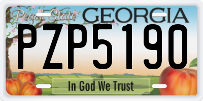 GA license plate PZP5190