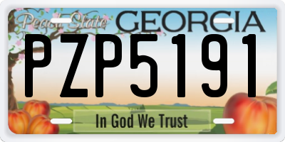 GA license plate PZP5191
