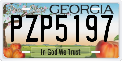 GA license plate PZP5197